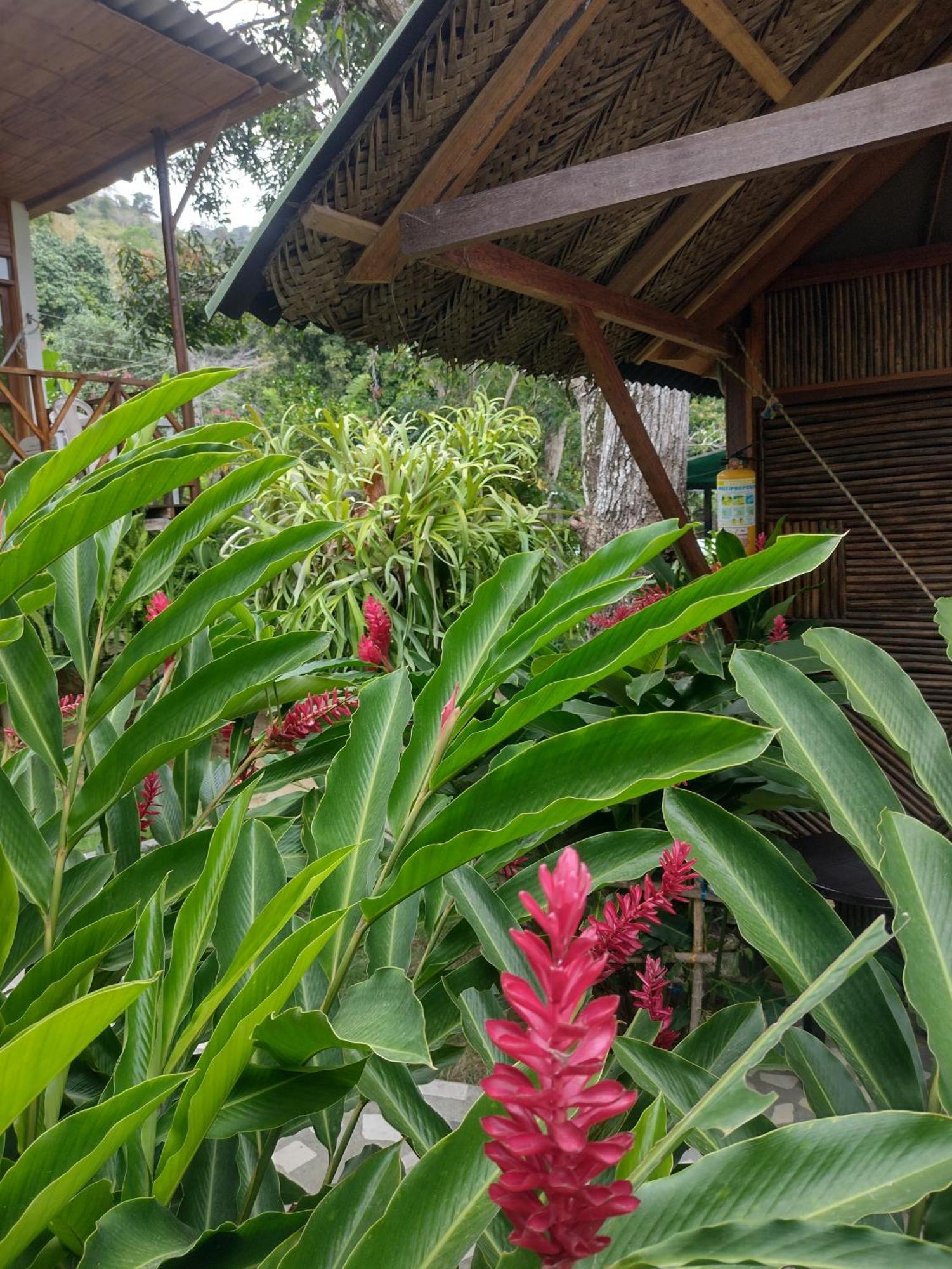 Villa Casa Kumake Tayrona Zaino Exterior foto
